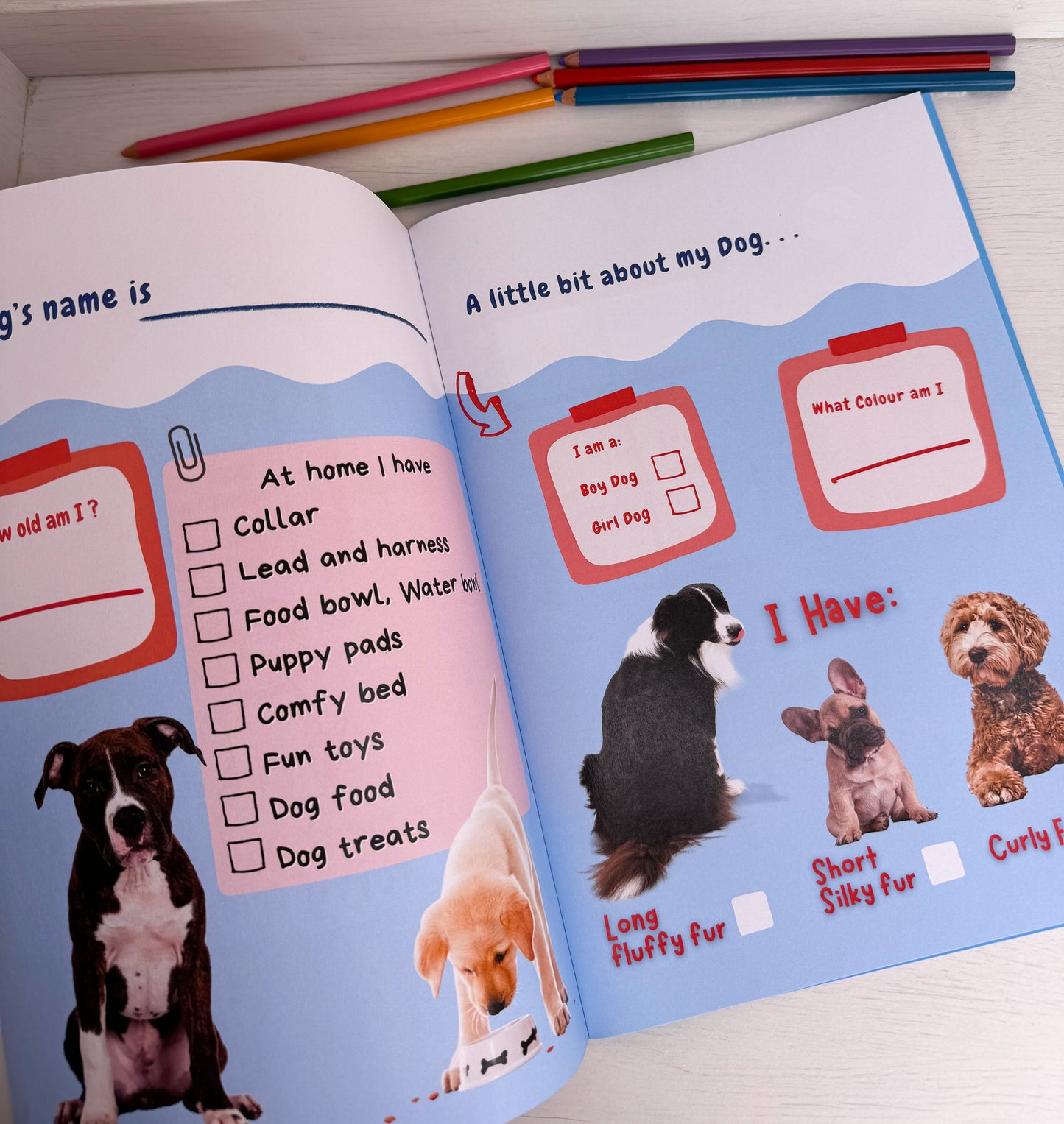 How to Care for Dogs Book for Kids