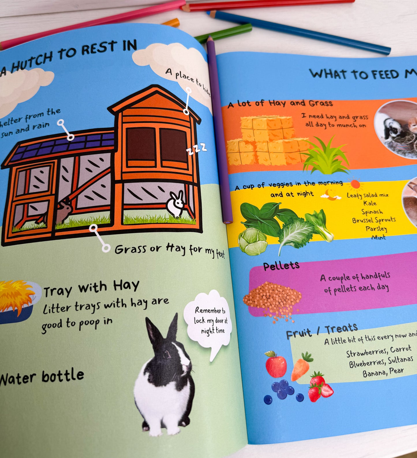 How to Care for Rabbits Book for Kids