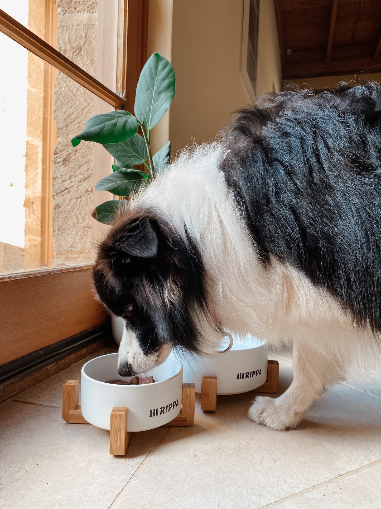 Medium Ceramic Bowl with Stand